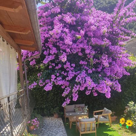 La Bouganville E Il Gelsomino Pietrasanta Exterior foto