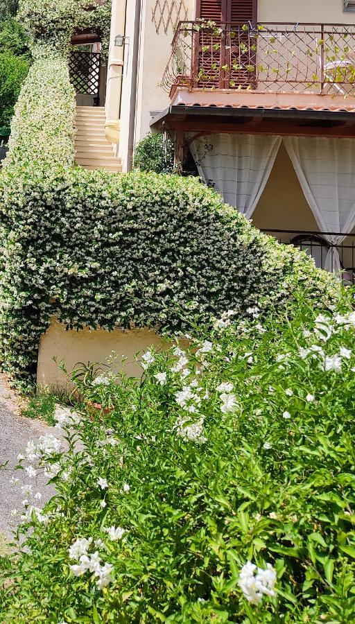 La Bouganville E Il Gelsomino Pietrasanta Exterior foto